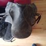 pony/donkey saddle + bridal & reins +blanket+strap Image 7