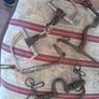 old horse Bits Image 10
