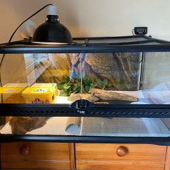 vivarium