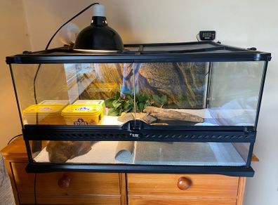 vivarium