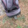 ladies Golf clubs and trolley Image 2