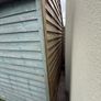 shed Image 3