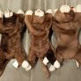 Vintage TY Beanie Babies - Pounce, cat Image 2