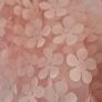 Ted Baker skater dress Image 5