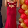 Dress Image 2