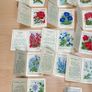 Kensitas Medium Silk Cigarette Cards Flowers 1934 - 31 Medium and 4 Small Image 7