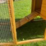 chicken coop Image 4