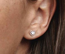 Pandora Sparkling Elevated Heart Rose Gold Earrings New