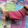 jellycat Image 2