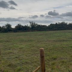 Site for Sale