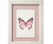 Framed Butterfly Picture