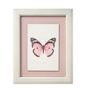 Framed Butterfly Picture