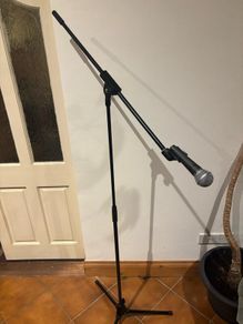 Mic with stand