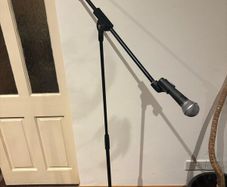 Mic with stand