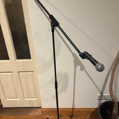 Mic with stand