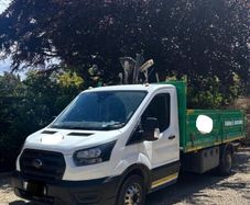 Ford Transit 2021