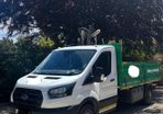 Ford Transit 2021