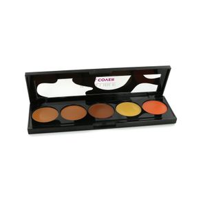 L'Oreal Infallible Total Cover Concealer Palette - 02 TAN TO DEEP - New