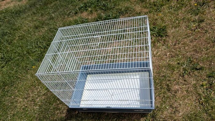 Bird cage medium size