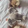 nursery Image 5
