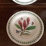 4 Portmerrion Botanical Gardens 8" Side Plates Image 4