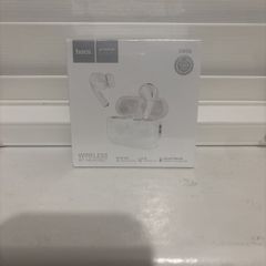 Earphones