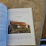 Wood You Believe. Volume 3. The Ancestral Self. By Fr Jim Cogley. First Edition Large Volume Paperback  With Dustjacket. See Photos For Same. Image 10