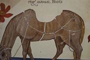 Josh Ritter - The Animals Years.