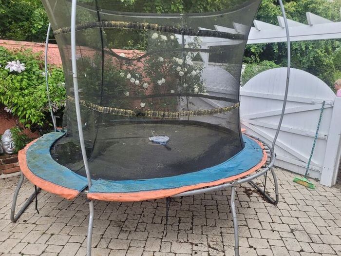 FREE trampoline