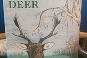 Fallow Deer book