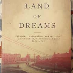 A Land Of Dreams: Ethnicity, Nationalism And The Irish In Newfoundland, Nova Scotia And Maine 1880-1923 by Patrick Mannion