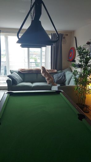 Pool table