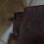 Vintage Money Box Image 6