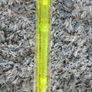 NEW Recorder / Flute for Beginner For School  Music Image 4