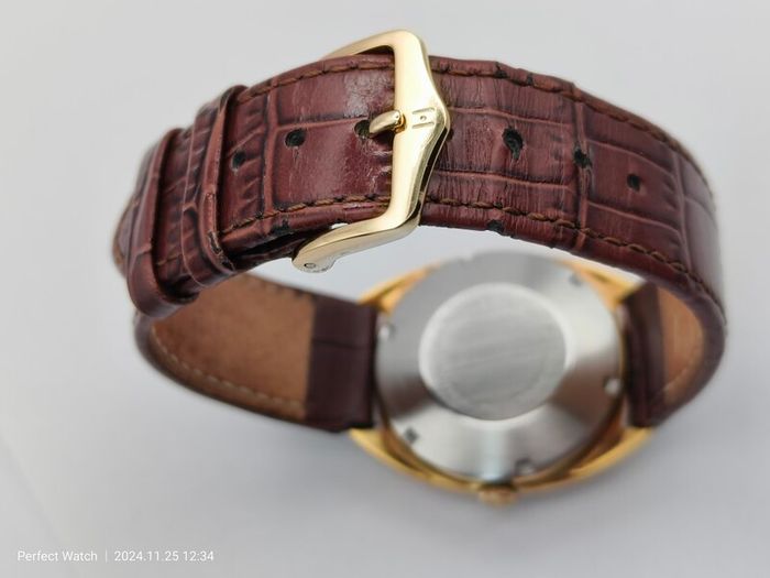 Vintage Swiss Avia Automatic men's Watch