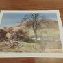 Prints Image 2