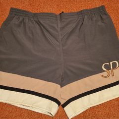 Speedo Men's Swimming Trunks