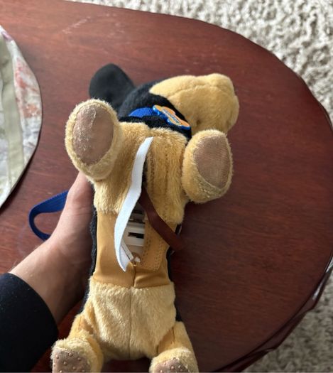 waggers dog