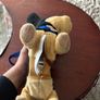 waggers dog Image 4