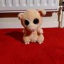TY teddies Image 6