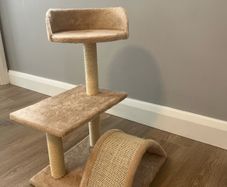 cat scratch tree
