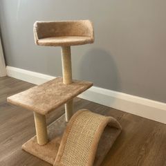 cat scratch tree