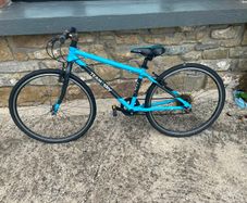 Frog Bike 69