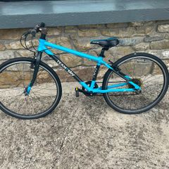 Frog Bike 69