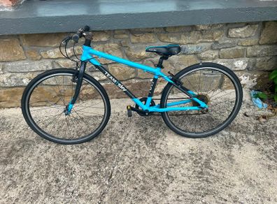 Frog Bike 69