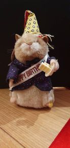 Happy Birthday Hamster