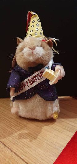 Happy Birthday Hamster