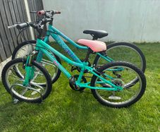 2 kids bicycles