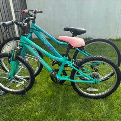 2 kids bicycles