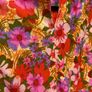 Flowery maxi dress Image 3